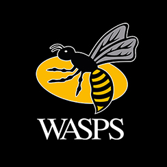 wasps_logo_244x244